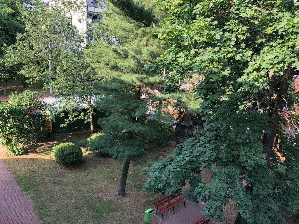 Chrobrego 269 Apartman Biała Podlaska Kültér fotó